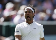 爱游戏在线-澳大利亚网球队血洗意大利网球队，阿尔卡拉斯绝境逆转