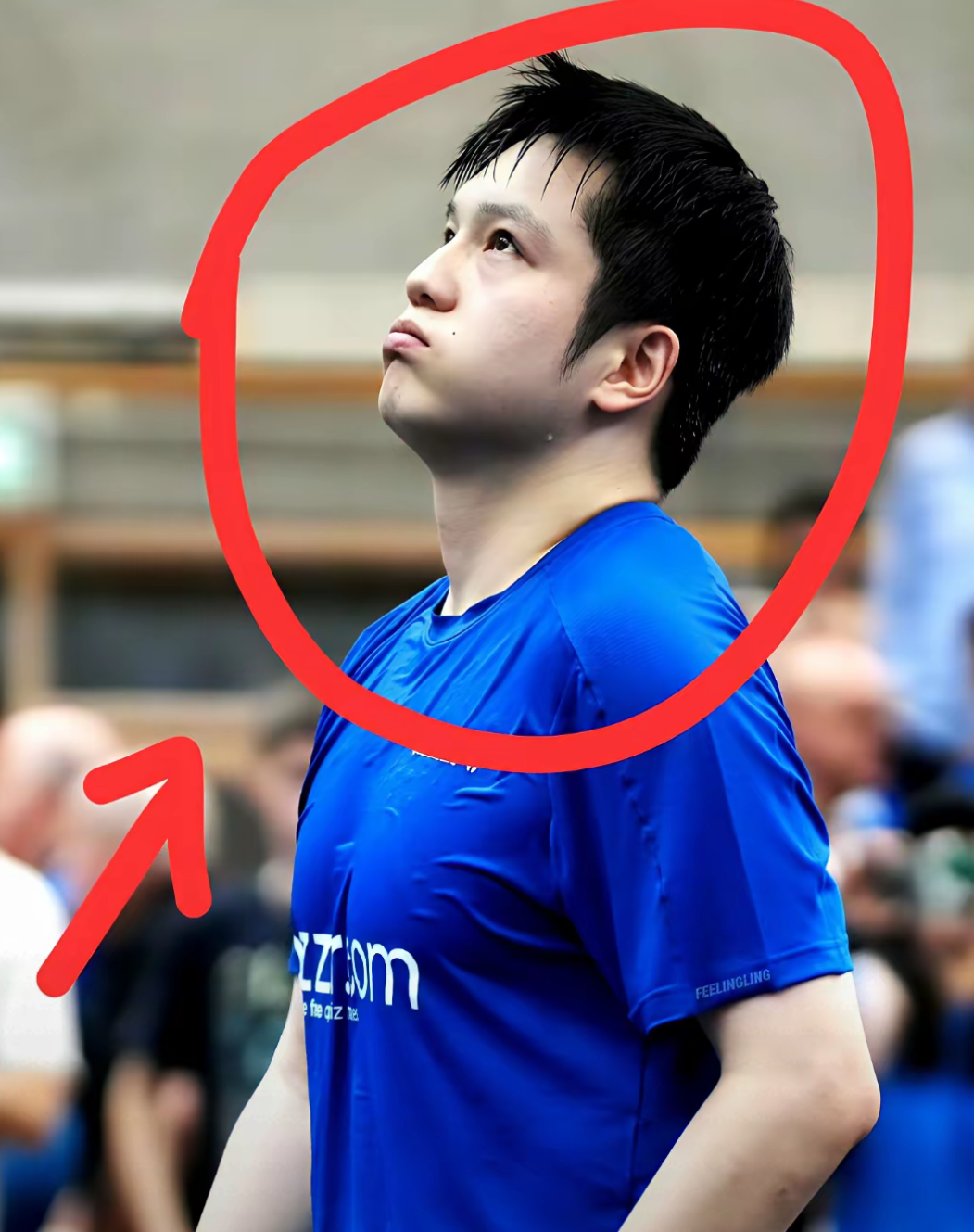 葡萄牙队横扫韩国队,樊振东惊艳四座 葡萄牙队横扫韩国队,樊振东惊艳四座