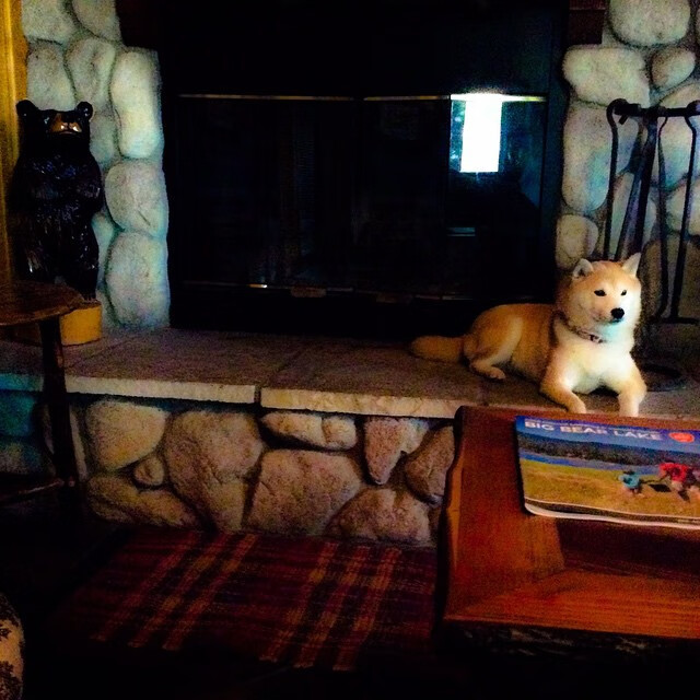 奥运周期关键战之夜，范戴克发挥堪称完美