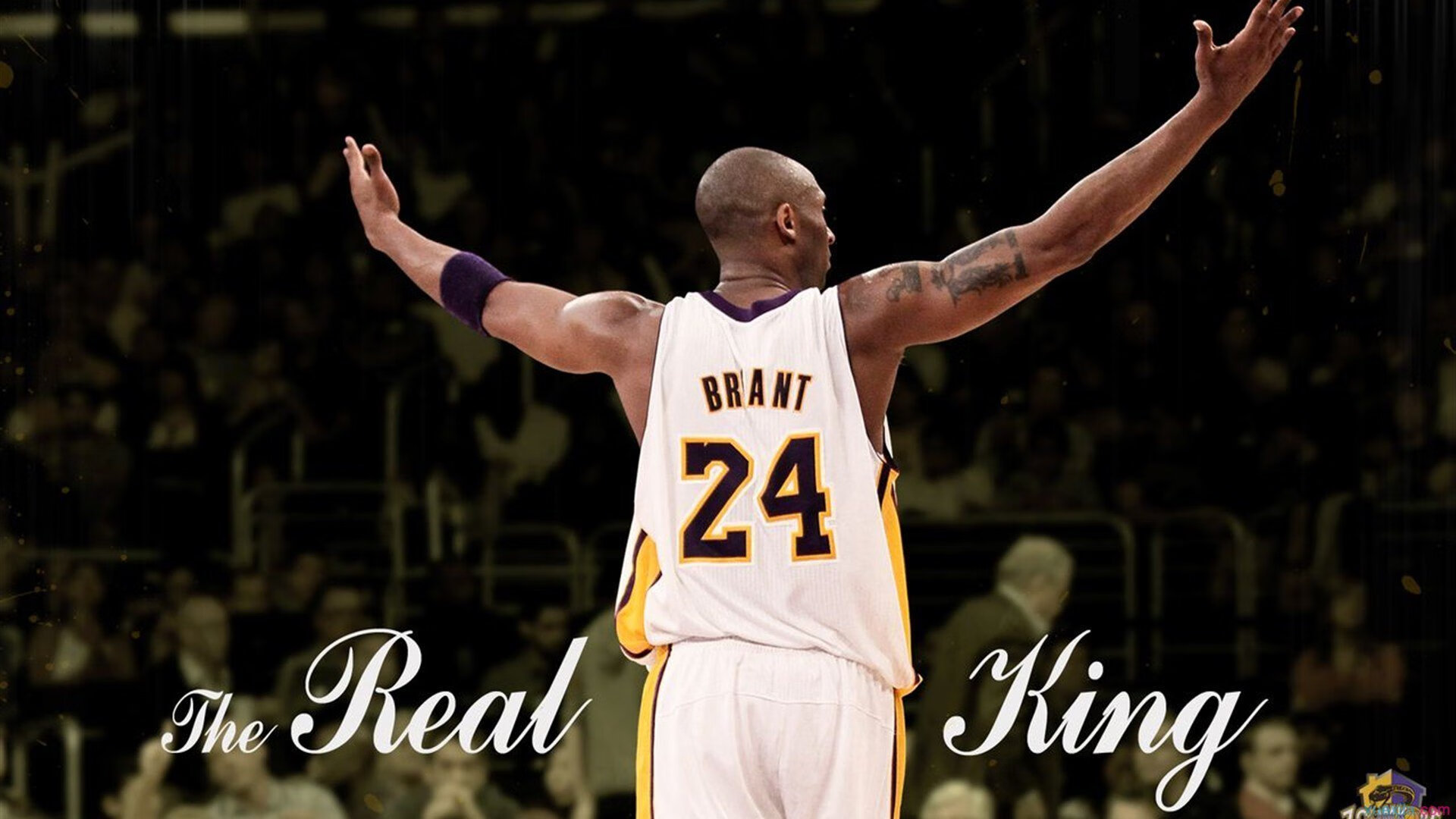 独行侠对阵浙江队,戈贝尔完成里程碑之夜